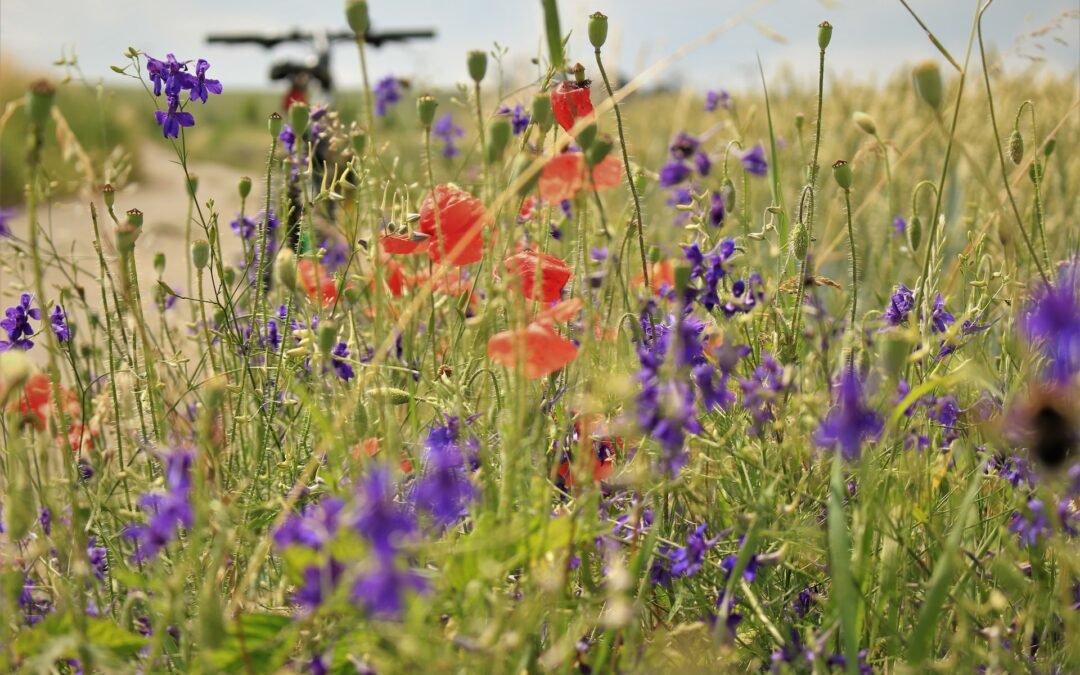 Flores de verano: añade color y alegría a tu hogar con nuestras hermosas creaciones florales